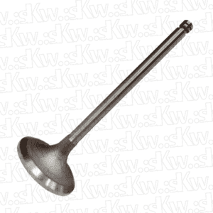 Válvulas de admissão Case / New Holland (CNH) 84598453